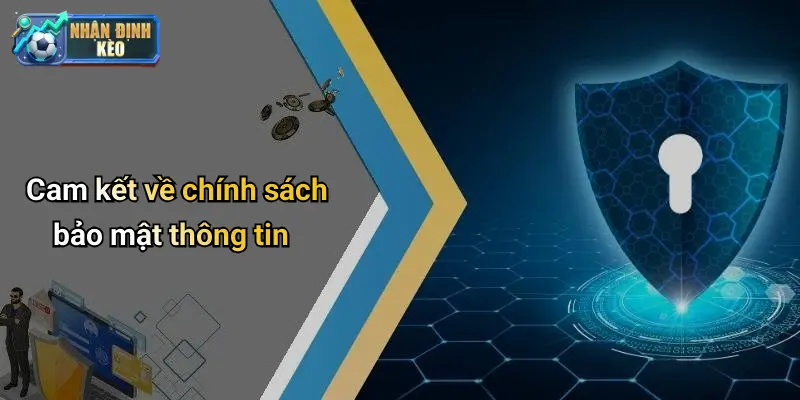 Cam kết về chính sách bảo mật thông tin