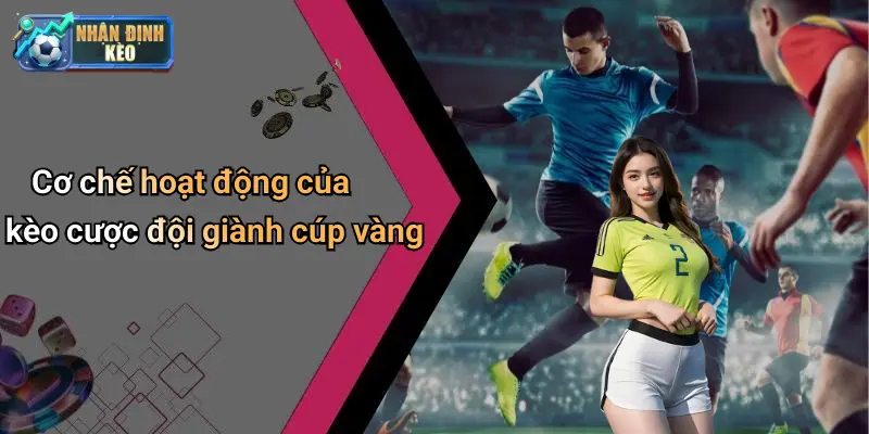 Cơ chế hoạt động của kèo cược đội giành cúp vàng