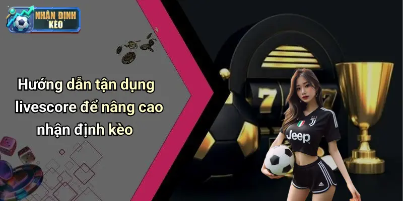 Hướng dẫn tận dụng livescore để nâng cao nhận định kèo