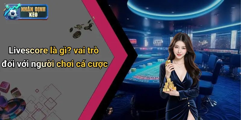 Livescore là gì? vai trò đối với người chơi cá cược