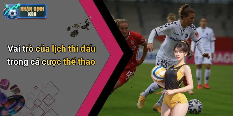 Vai trò của lịch thi đấu trong cá cược thể thao