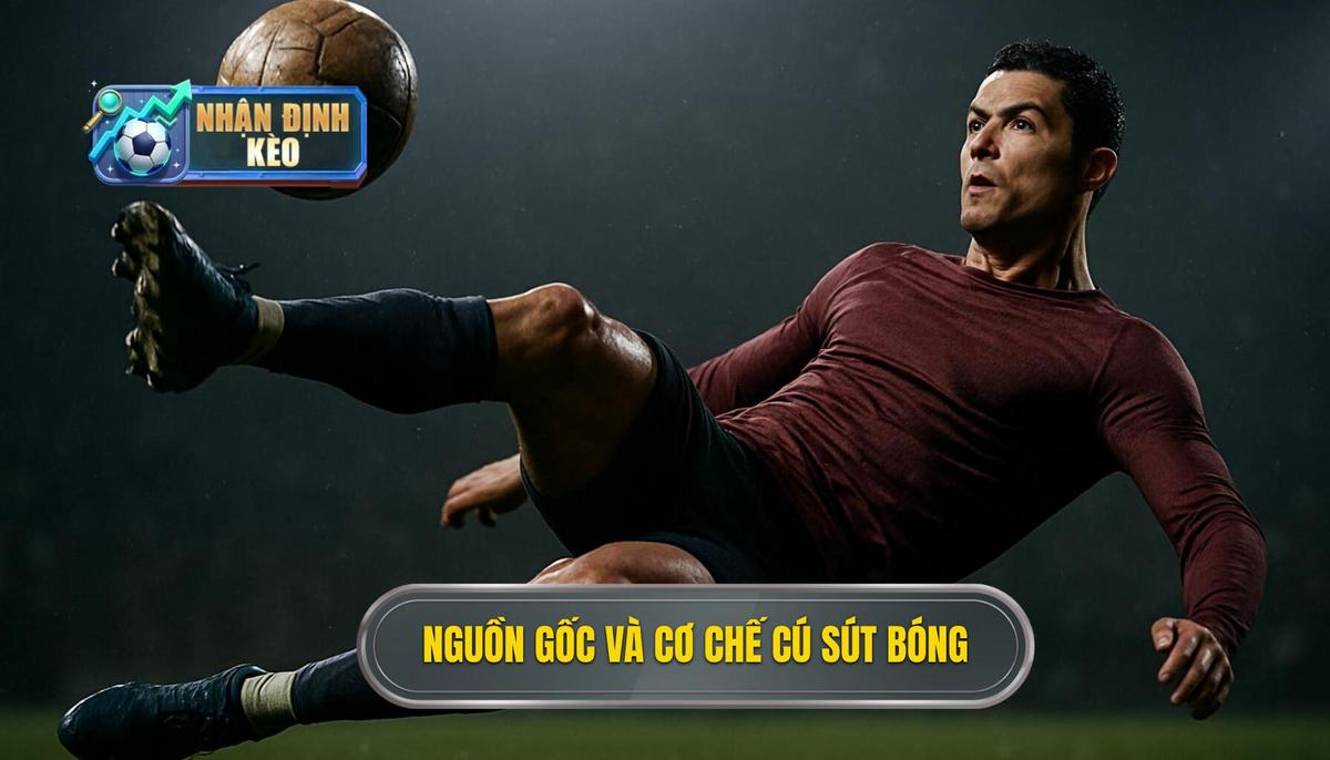 Nguồn gốc và cơ chế hoạt động của cú sút đầu ngón chân