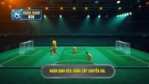Nhận Định Kèo_ Đẳng cấp chuyên gia.