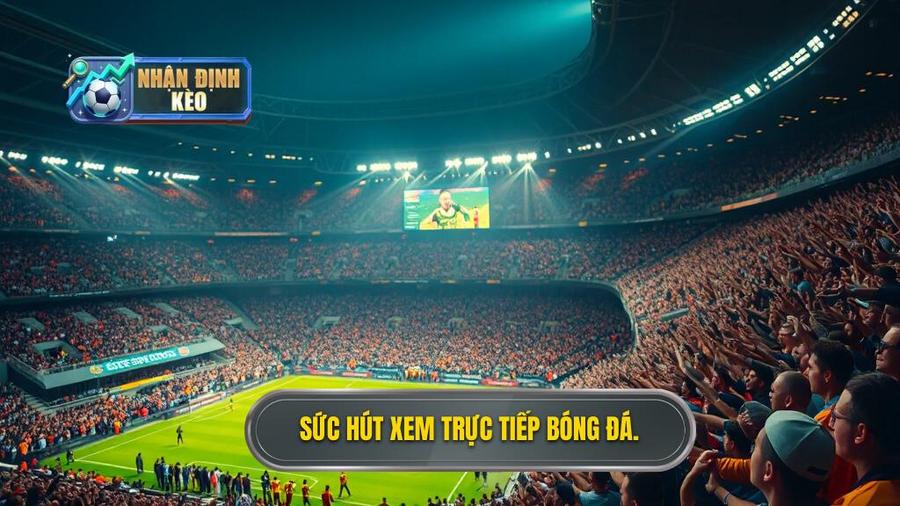 Sức hút mãnh liệt của việc xem trực tiếp bóng đá hôm nay