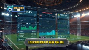 Livescore bóng đá hôm nay: Công cụ không thể thiếu cho tín đồ túc cầu giáo