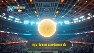 Trực tiếp bóng đá hôm nay: Trải nghiệm đỉnh cao và góc nhìn chuyên gia