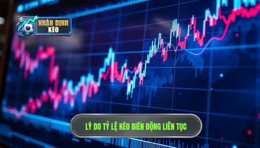 Tại sao tỷ lệ kèo lại biến động liên tục?
