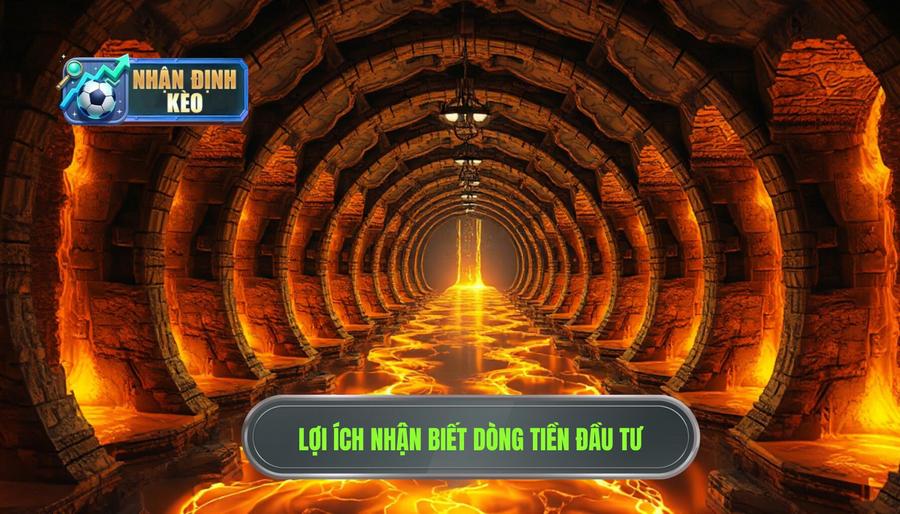 Tại sao cần học cách nhận biết dòng tiền đổ vào cửa nào?