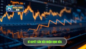 Kinh nghiệm săn kèo ngon mỗi ngày từ chuyên gia NHẬN ĐỊNH KÈO